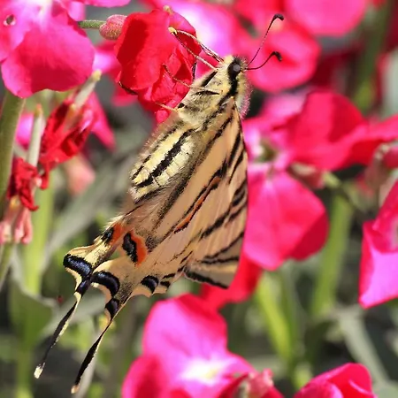 House Andrija بيت ضيافة 4*